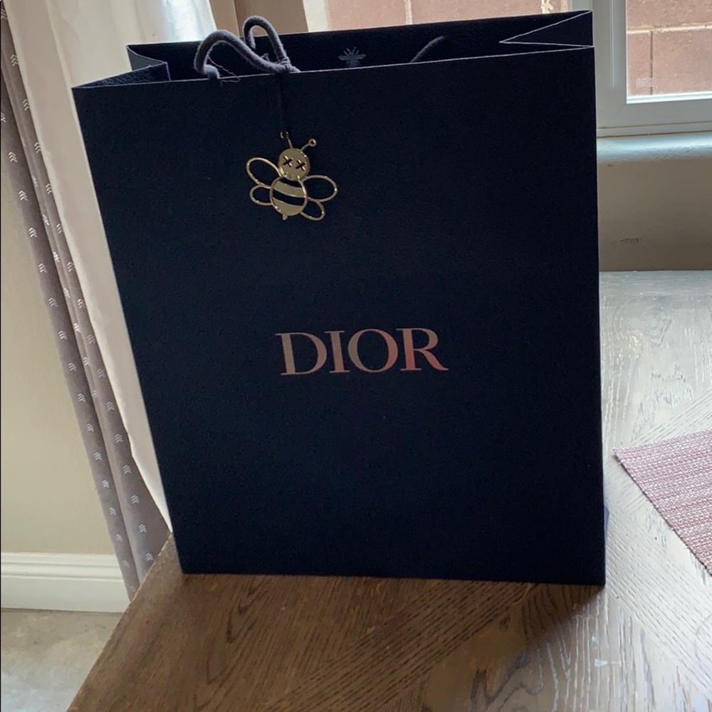 Large Dior gift bag